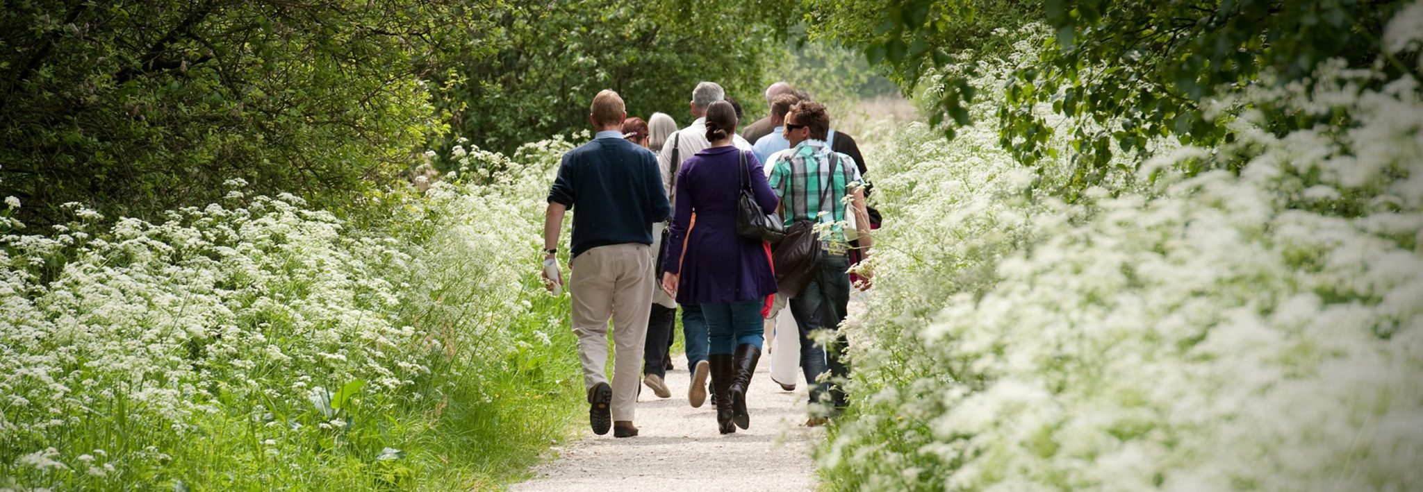 Recreatieschap Marrekrite Genieten van het Friese water en land.